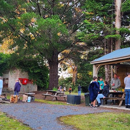Zeehan Bush Camp Bagian luar foto
